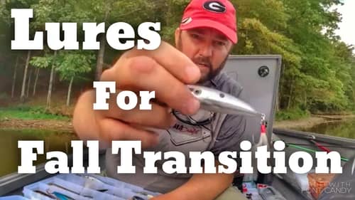 Bass Fishing the Summer to Fall Transition - These are the Lures I Use