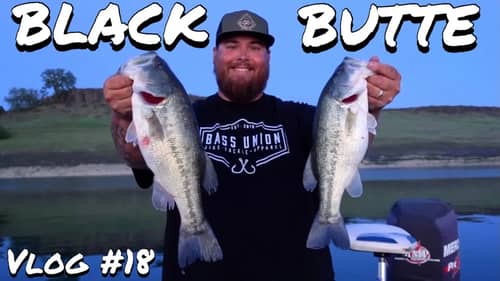 Black Butte Lake Shallow Water Spinnerbait & Topwater Fishing for Spring Pre/Post Spawn Bass