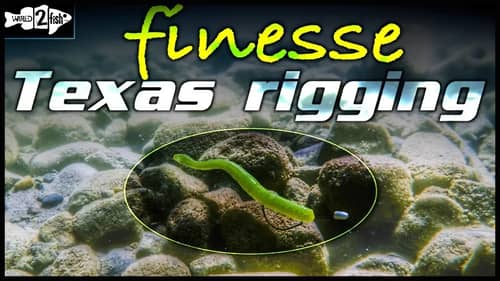 When to Downsize Texas Rigs