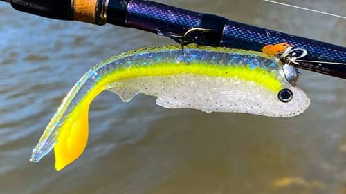 Bulbous Tail Finesse Sexy Shad Open Pour Soft Plastic