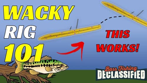 These WACKY RIG Tips Will Improve Your Fishing For Bass