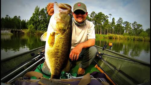 How to Catch Giant Summer Bass - Fishing 12 inch Worms and Jigs