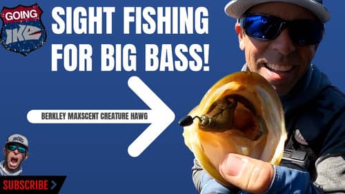 SIGHT FISHING for BIG BASS!