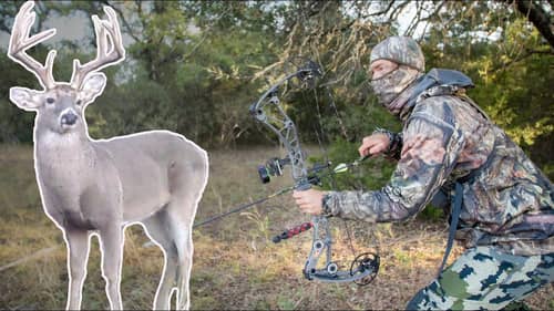 Hunting Trophy Bucks from the Ground! | Bow Hunt for Big Pond Deer