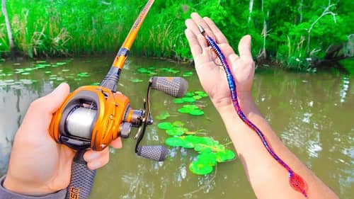 Fishing BIG Worms for BIG Bass (River Fishing)