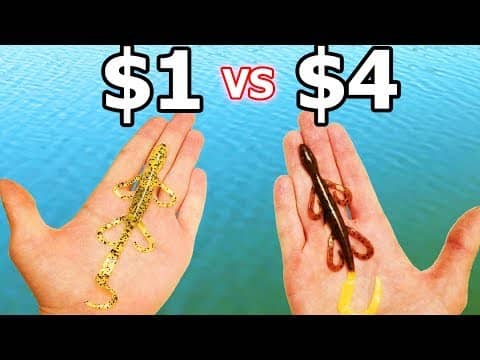 CHEAP vs EXPENSIVE Lizard Fishing CHALLENGE!