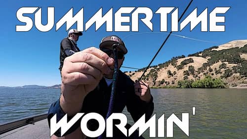 Best Worm Types and Colors for Summer Bass Fishing