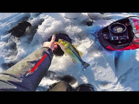 We FINALLY Found Them! -- Ice Fishing The Ponds