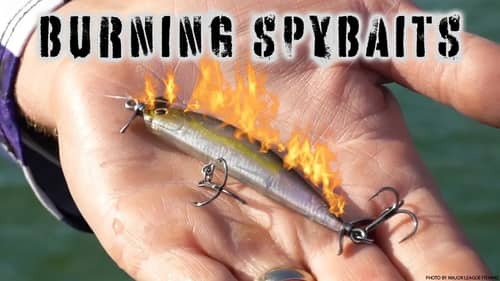 Spybait Bass Fishing - Reel Fast or Slow?!?