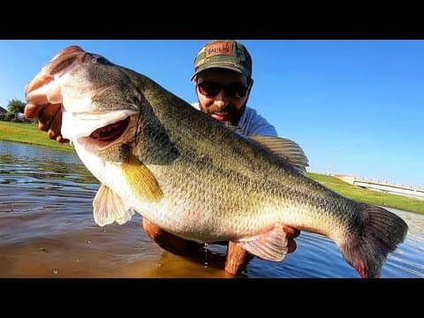 BASS OF A LIFETIME from URBAN POND!