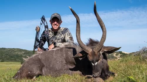BOW HUNTING SOUTH AFRICA | Eastern Cape Nyala!