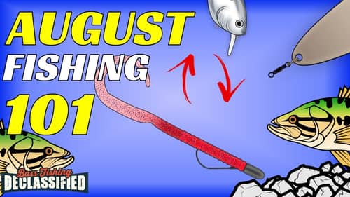 Everything YOU Need To Know About Fishing In August!