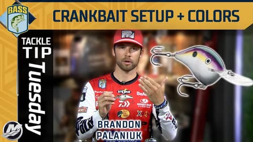Brandon Palaniuk tells you which crankbait colors you should use! (Deep Water Fishing)
