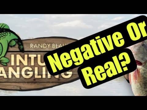A Message To Viewers Who Think I’m Being Negative…