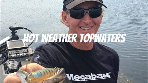Summertime Topwater Secrets And Strategies