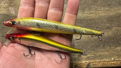 Clown Colored Jerkbaits…When And How They Catch The Biggest Bass In The Lake