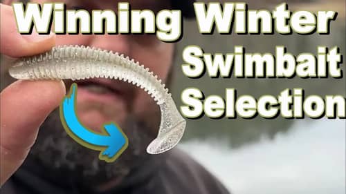 Winter Swimbaits Are NOT Created Equal