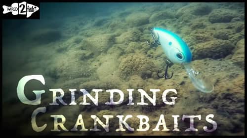 Deep Diving Crankbait Deflections | Underwater View
