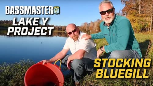 Stocking Lake Y with bluegill to enhance fish counts