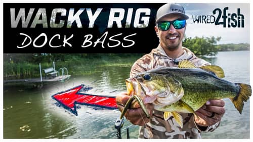 How to Wacky Rig Boat Docks for Summer Bass