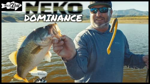 Search Mexico%20bass%20fishing%20lodge Fishing Videos on