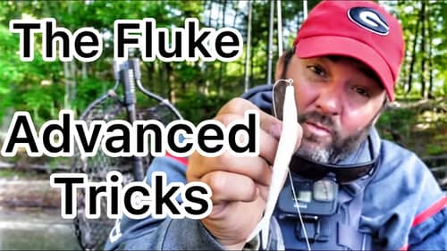 How to Fish a Fluke - You May Not Know Some of These Tricks - Bass Fishing