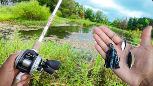Fishing a Grassy Pond For BIG BASS (Discovering A New Favorite Lure)