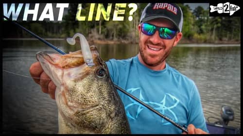 Paddle Tail Swimbaits: How Lighter Line Improves Success