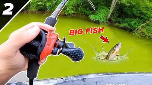Will we WIN this Fishing Tournament?! (Youtuber Fish Off)