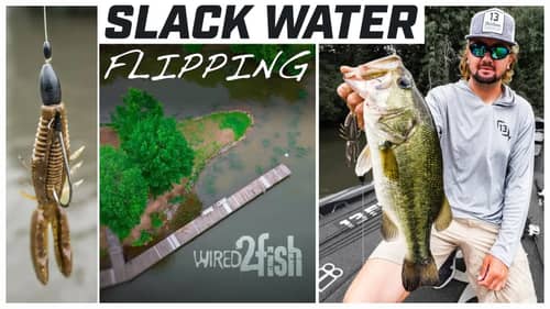 Kyle Welcher's Guide to Flipping Bass in Slack Water