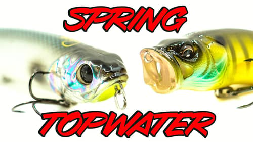 Spring Topwater Tricks To Get Topwater Strikes Right Now!