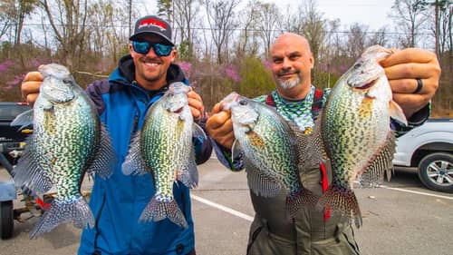 Fishing For GIANT Crappie In SKINNY CREEKS!!