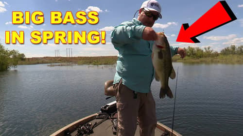 Catching Big Bass in Spring | How To | Bass Fishing