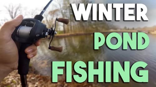 Winter Pond FISHING