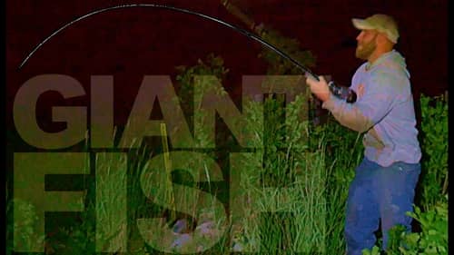 Creek Fishing for River Monsters - GIANT CATFISH!!