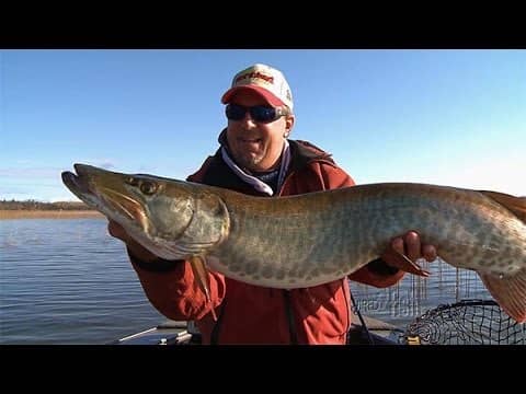 Musky Fishing Tips For New Electronics