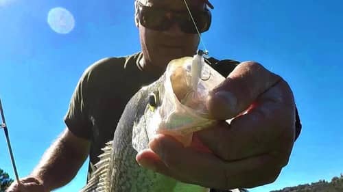 Crappie Fishing With A Jig! How To Catch MORE Crappie!!!