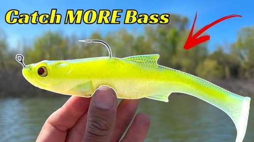 DON’T Go Fishing Without These Top Baits For The Spring