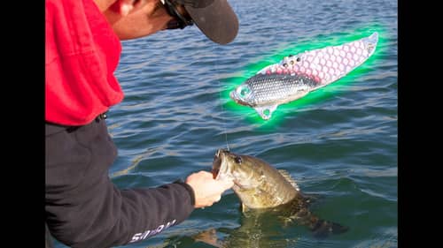 Winter Bass Fishing Tips for Deep Bass- Spoons and Buddy Blades