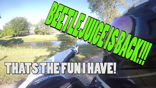 RIDING WAS LIFE + BEETLEJUICE + MAKE YOUR OWN FUN
