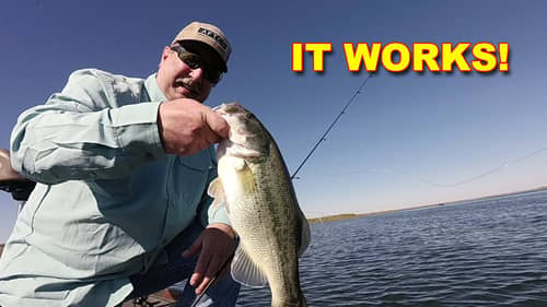 Finding Bass: Structure, Cover, and Hotspots Explained | Bass Fishing
