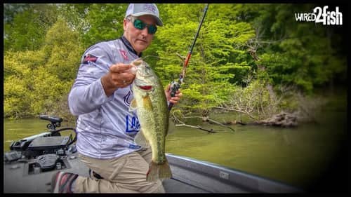 Why Flipping a Lighter Weight Generates More Bites in Bass Fishing