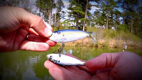 The Ultimate Dink Bass Fishing Challenge!!
