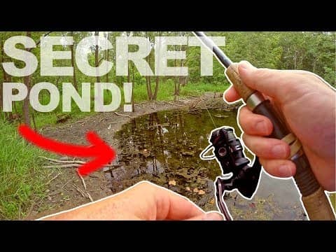 I Found a TINY POND in the WOODS!?