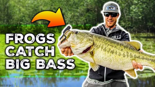 Frog Mods Catch BIG Bass (Hunter Shryock's Topwater Fishing Secret Tips)