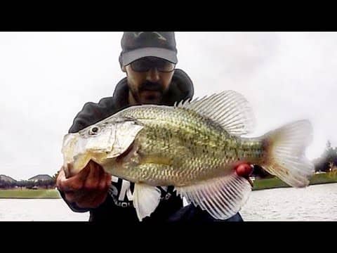 Fishing LOW LIGHT for BIG CRAPPIE!