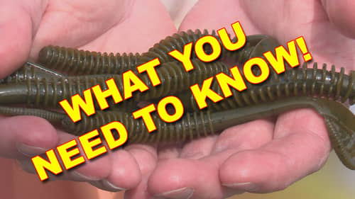 Swim Worms: What You Need To Know | Bass Fishing