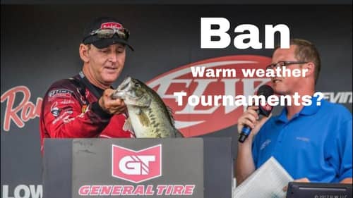 Should Warm Weather Bass Tournaments Be Stopped?