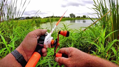 Tips For Catching MORE Fish In Ponds - Pond Fishing Setup