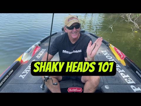 How To Fish A Shaky Head…For Beginners